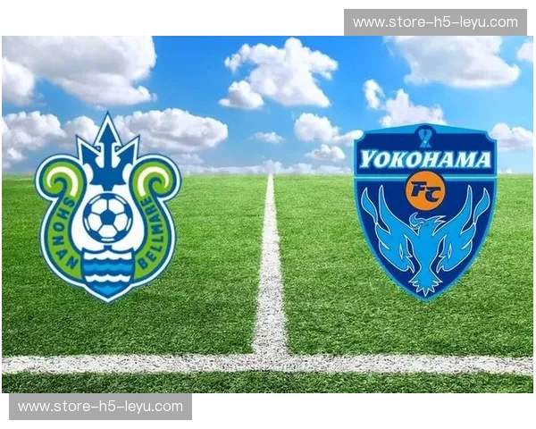 湘南海洋vs赞：一场足球的激情碰撞，一次关于梦想的青春赞歌